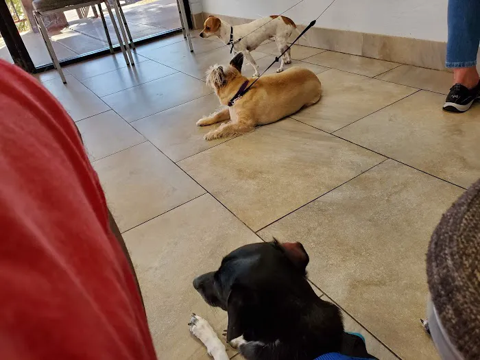 North Phoenix Animal Clinic 12