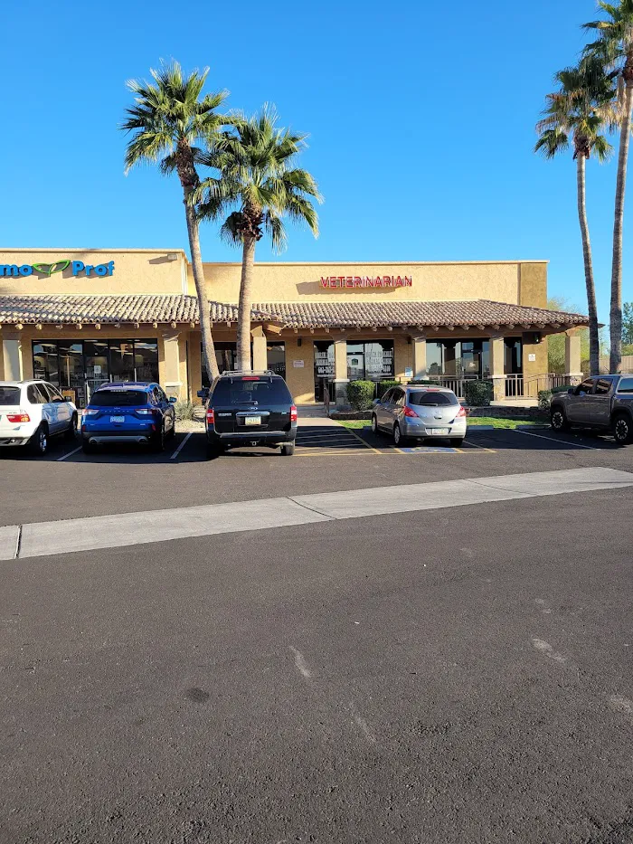 North Phoenix Animal Clinic 12