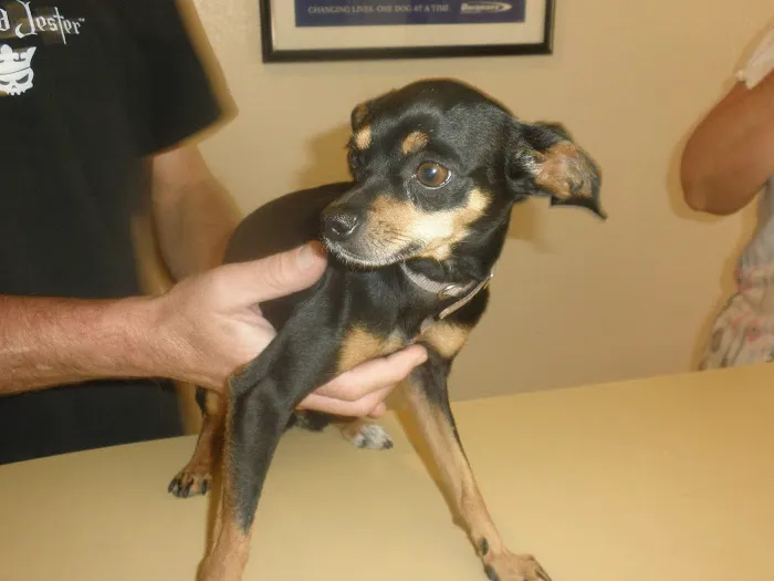 Moon Valley Animal Hospital 12