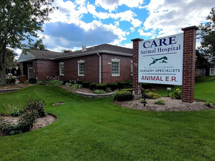 Care Animal Hospital 12