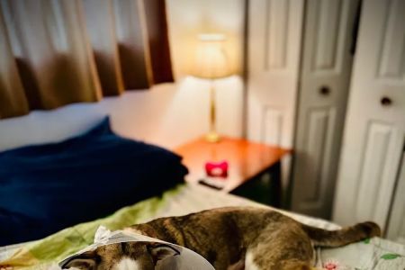 Preventative Pet Health of Michiana