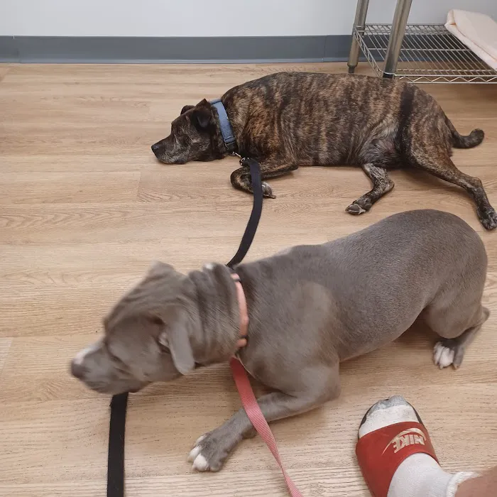 Preventative Pet Health of Michiana 12