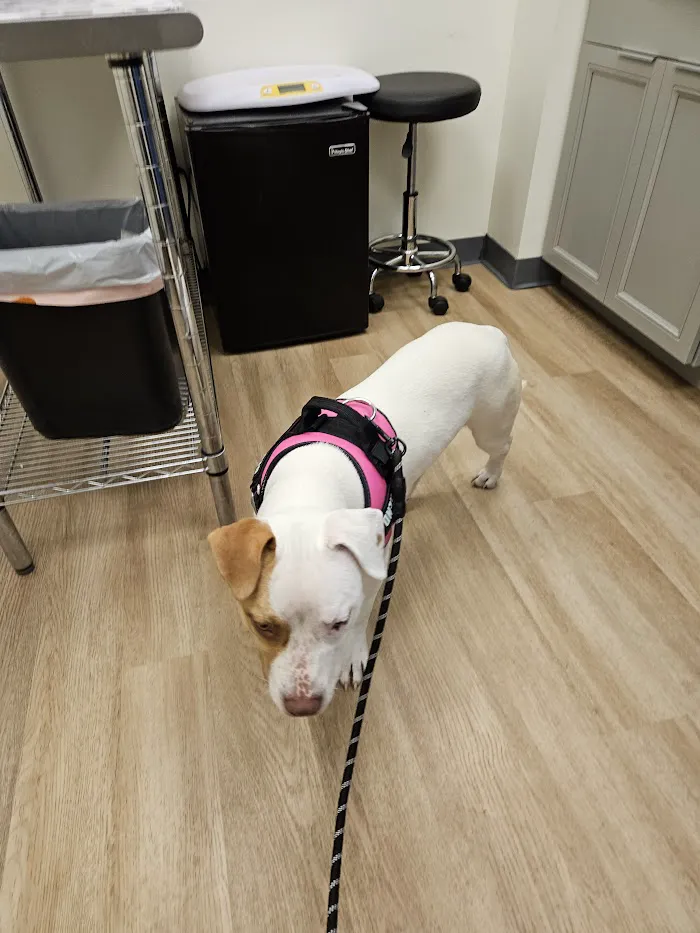 Preventative Pet Health of Michiana 12