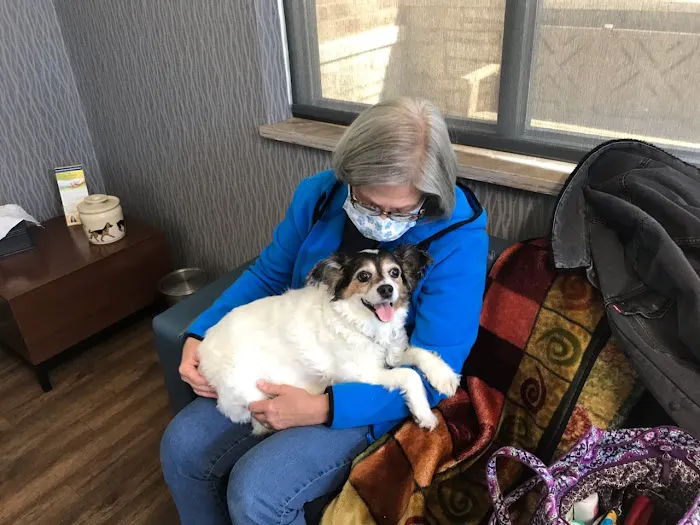 Care Animal Hospital 12