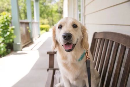 Haven Animal Hospital