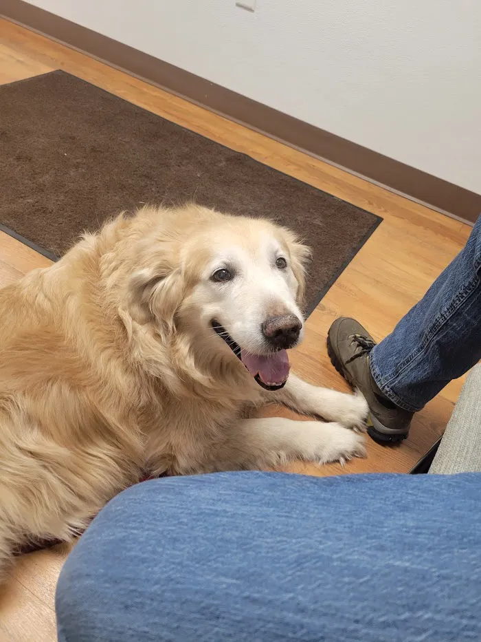 Grand Rapids Vet Clinic 12