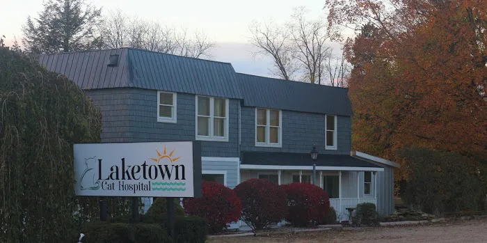 Laketown Cat Hospital 1