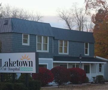 Laketown Cat Hospital