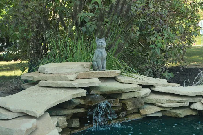 Laketown Cat Hospital 5