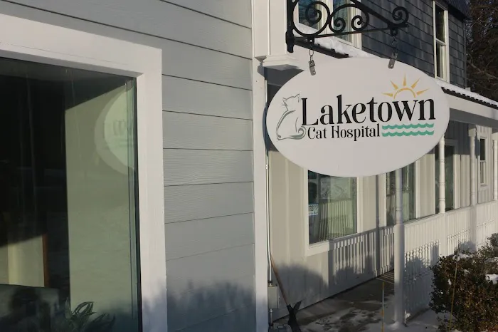 Laketown Cat Hospital 6