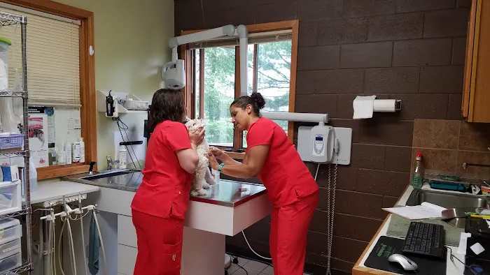 Grand Haven Animal Hospital 12