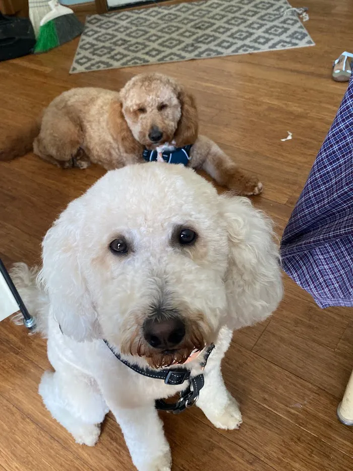 West Shore Veterinary Clinic, Dr. Heidi Heckler, DVM 12