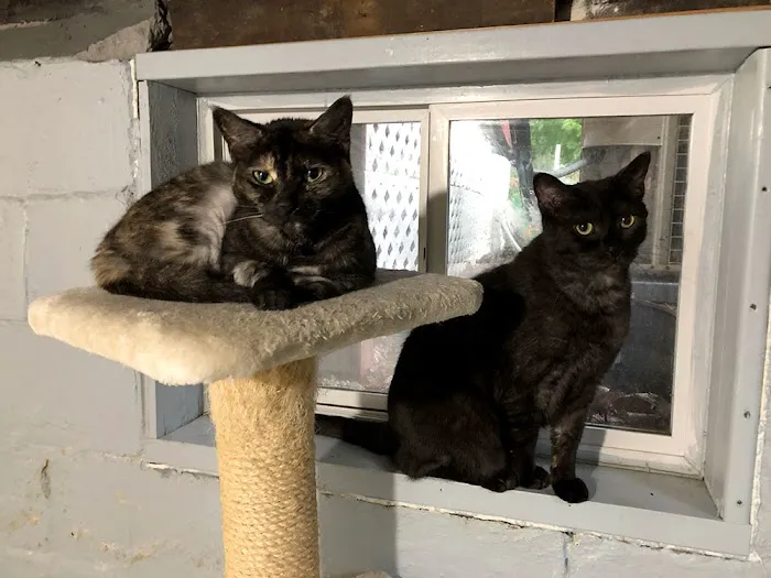 West Shore Veterinary Clinic, Dr. Heidi Heckler, DVM 12