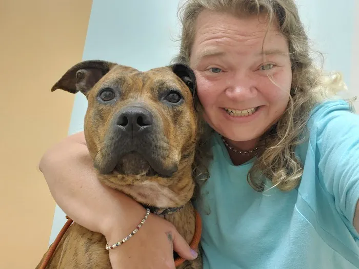 West Shore Veterinary Clinic, Dr. Heidi Heckler, DVM 12