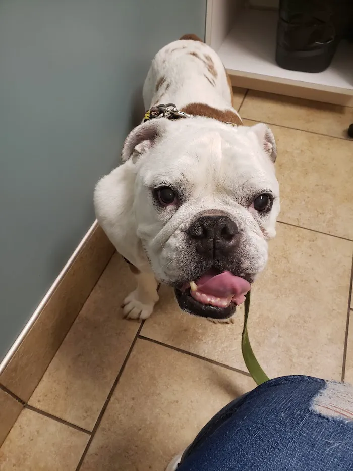 Family Friends Veterinary Hospital 12