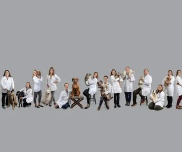 Family Friends Veterinary Hospital