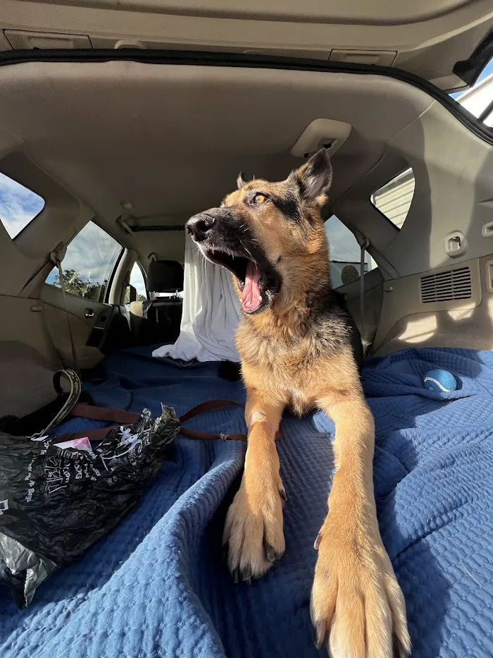 Emergency Veterinary Care Centers 9