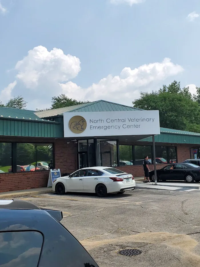 Emergency Veterinary Care Centers 4