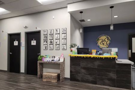 Emergency Veterinary Care Centers