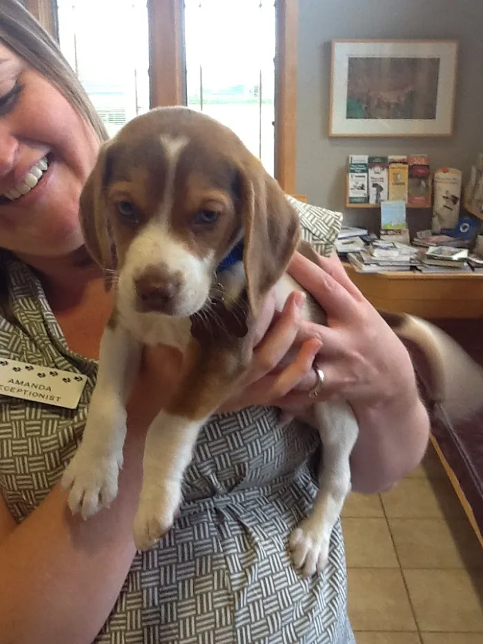 Robbins Road Animal Clinic 6
