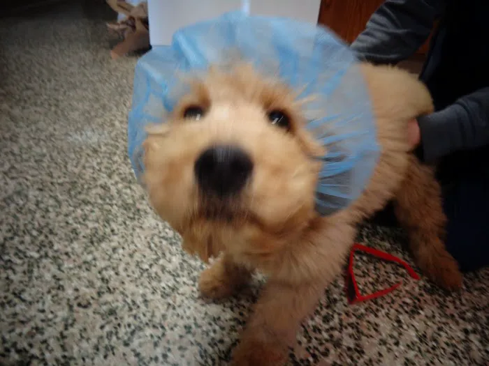 Lake Michigan Animal Hospital 12