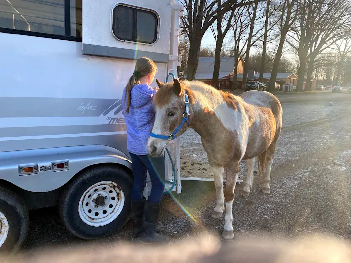 West Michigan Veterinary Service 12