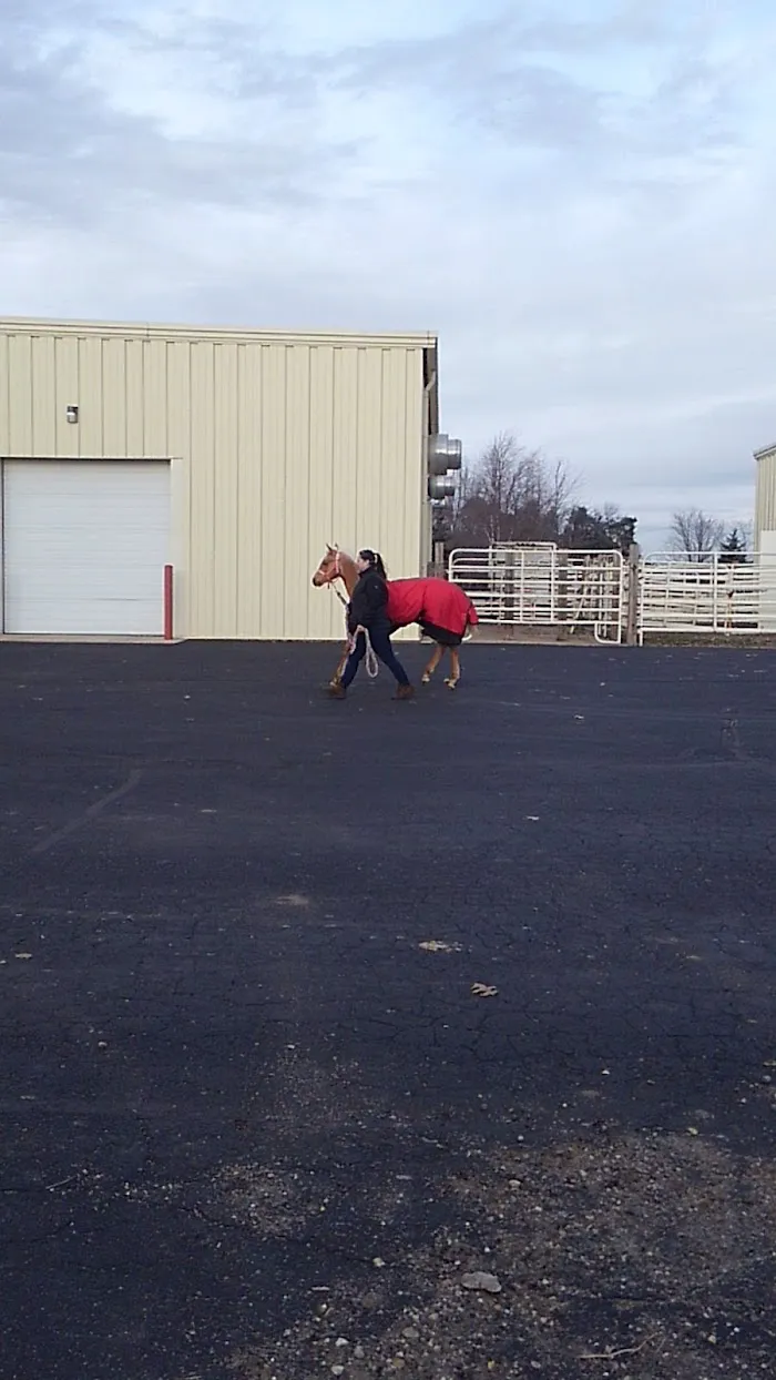 West Michigan Veterinary Service 12