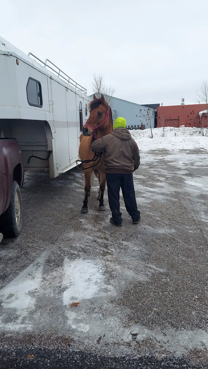 West Michigan Veterinary Service 12