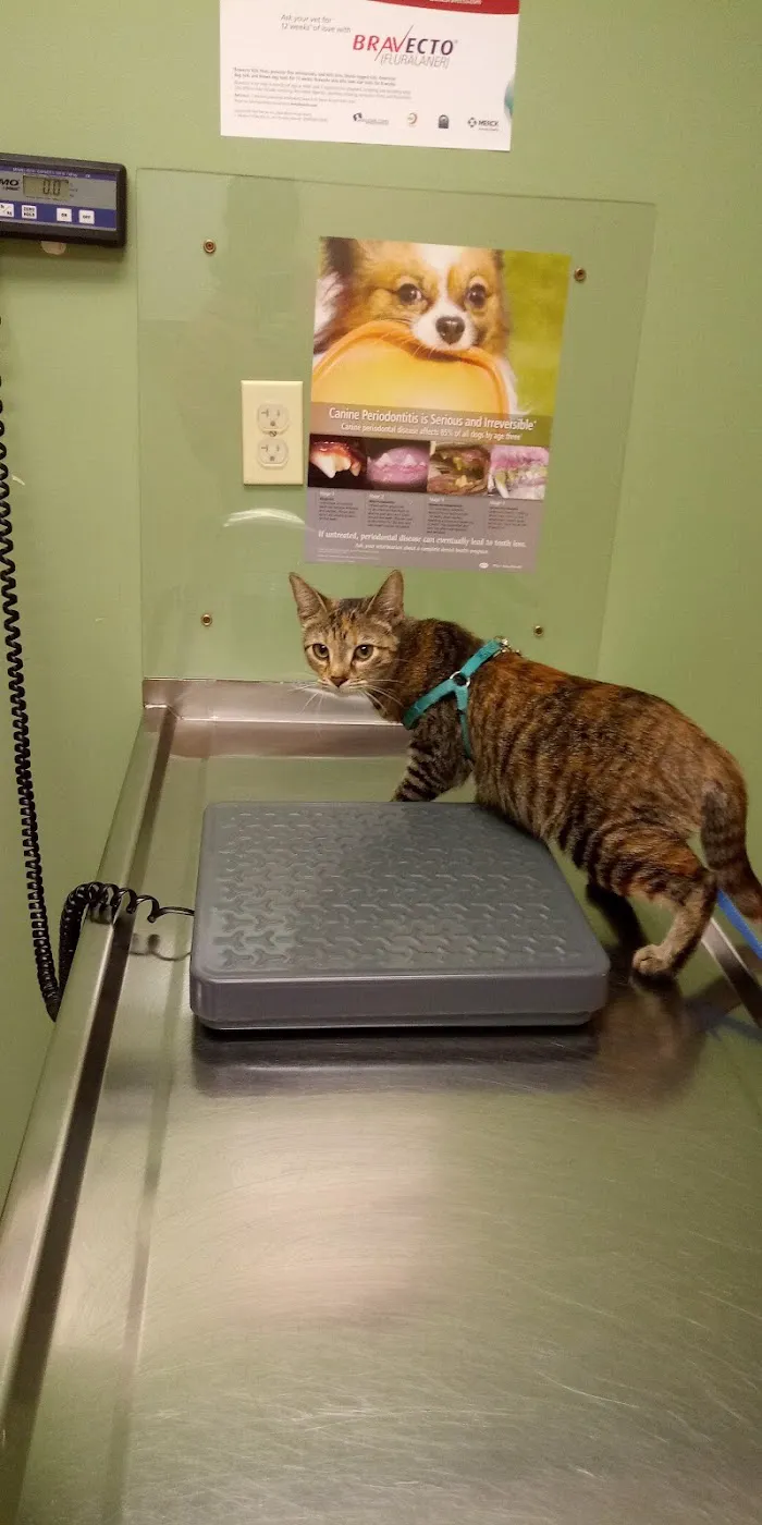 West Michigan Veterinary Service 12
