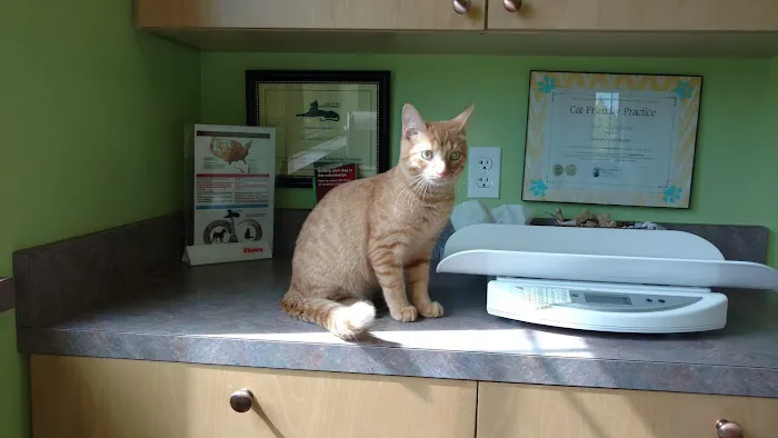 VCA Allendale Animal Hospital 12