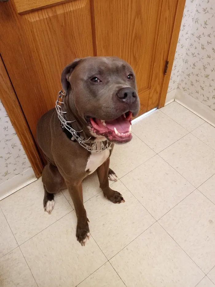 Monterey Veterinary Center 12