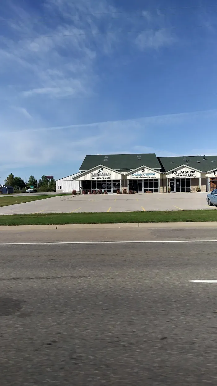 Lifetime Veterinary Care 12