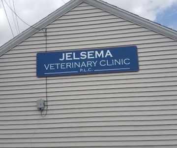 Jelsema Veterinary Clinic