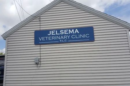 Jelsema Veterinary Clinic