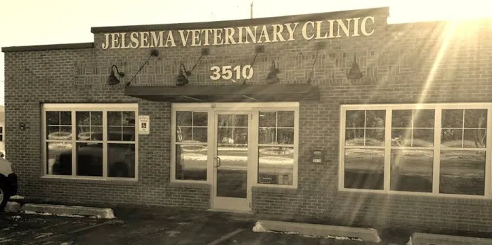 Jelsema Veterinary Clinic 12