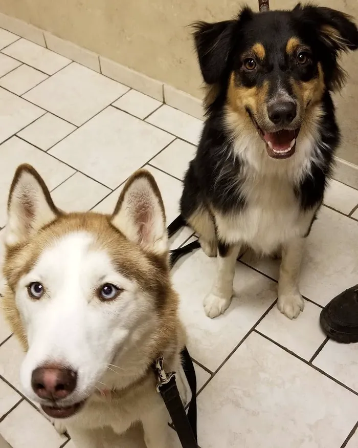 Cottonwood Veterinary Center 12