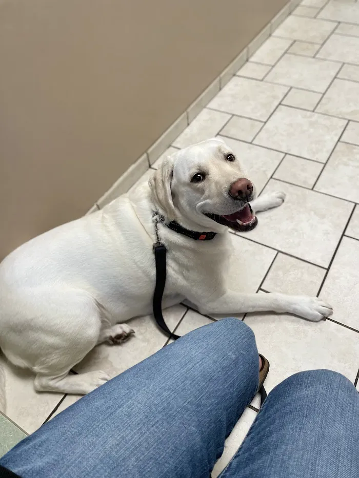 Cottonwood Veterinary Center 12