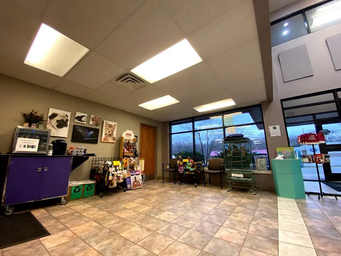 Kingdom Animal Hospital 3