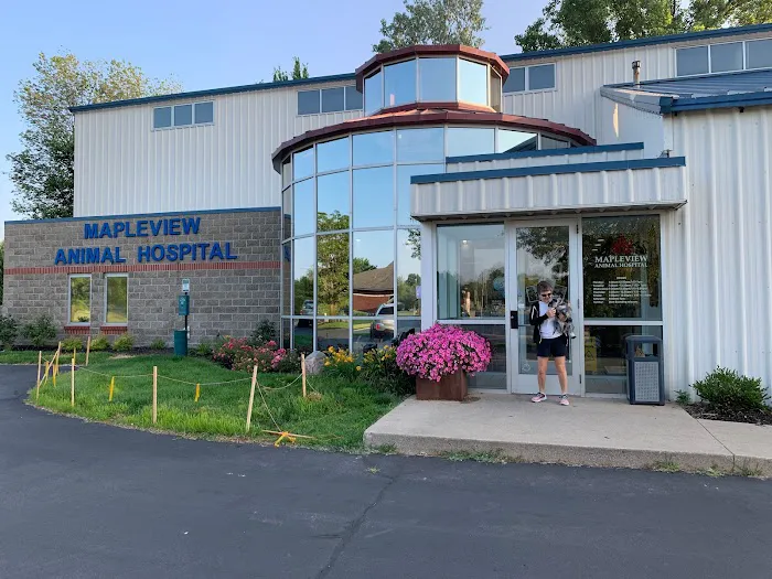 Mapleview Animal Hospital 3