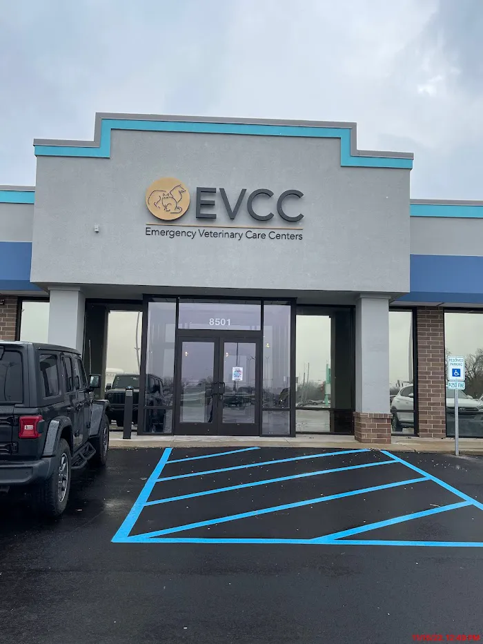 Emergency Veterinary Care Centers 12