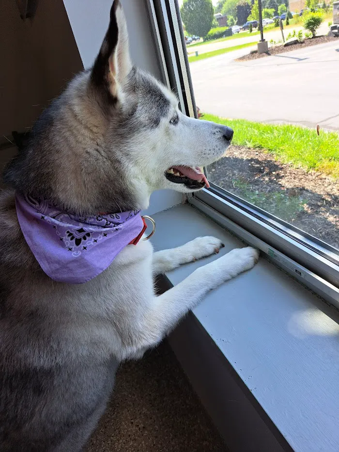 Mapleview Animal Hospital: Jennings Susan DVM 2