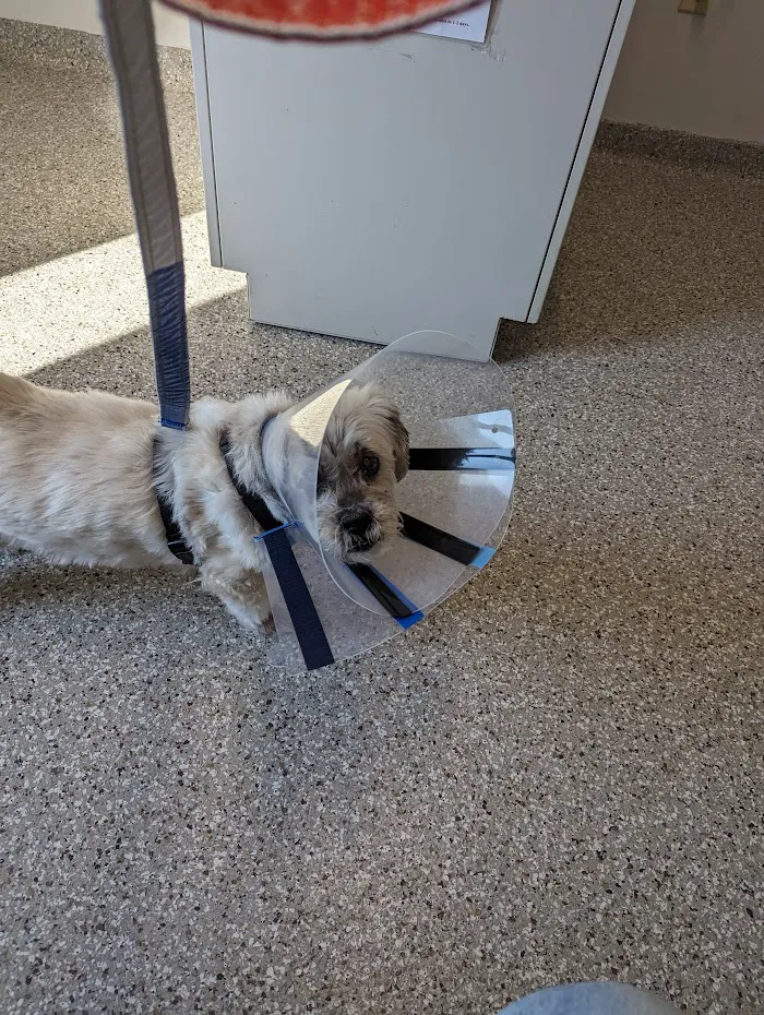 Mapleview Animal Hospital: Jennings Susan DVM 8