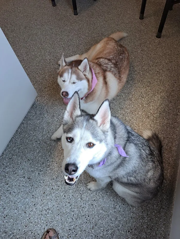 Mapleview Animal Hospital: Jennings Susan DVM 5
