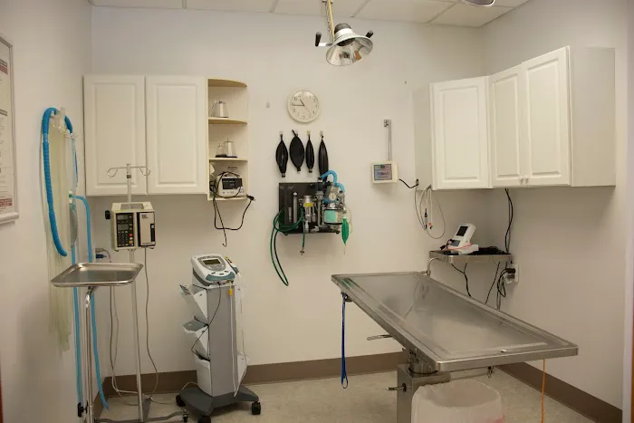 Ottawa Animal Hospital West 6