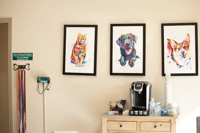 Ottawa Animal Hospital West 1