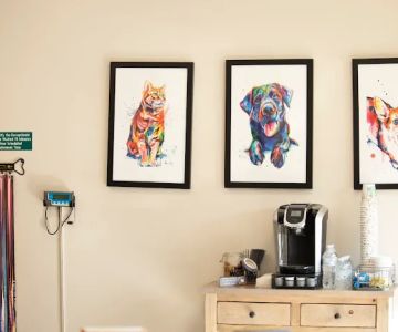 Ottawa Animal Hospital West
