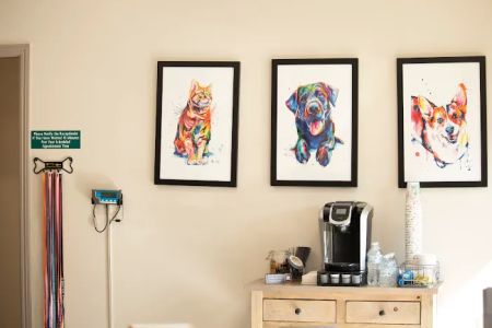Ottawa Animal Hospital West