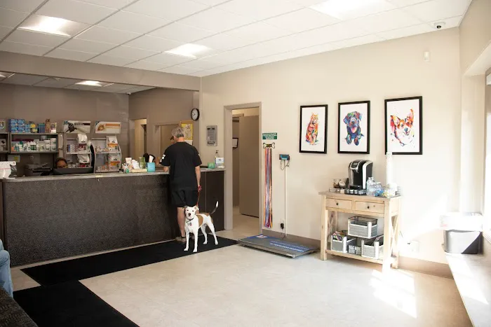Ottawa Animal Hospital West 4