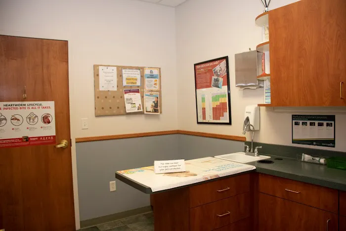 Ottawa Animal Hospital East 1