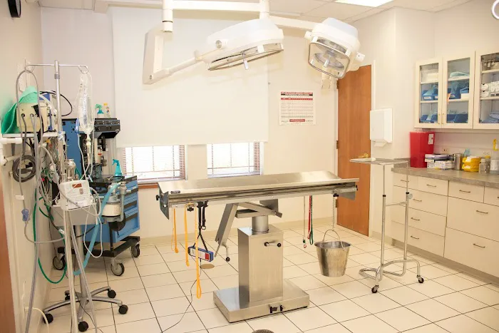 Ottawa Animal Hospital East 3